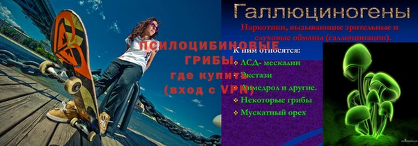 соль ск Абаза