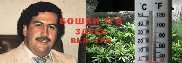 соль ск Абаза