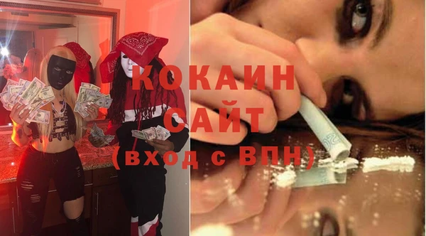 соль ск Абаза