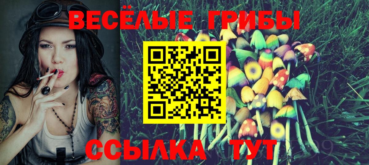 Стрежевой  Псилоцибиновые грибы GOLDEN TEACHER  Вход с VPN  купить наркотик  Галлюциногенные грибы ЛСД 