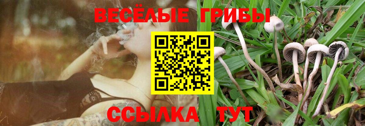 Псилоцибиновые грибы прущие грибы Стрежевой